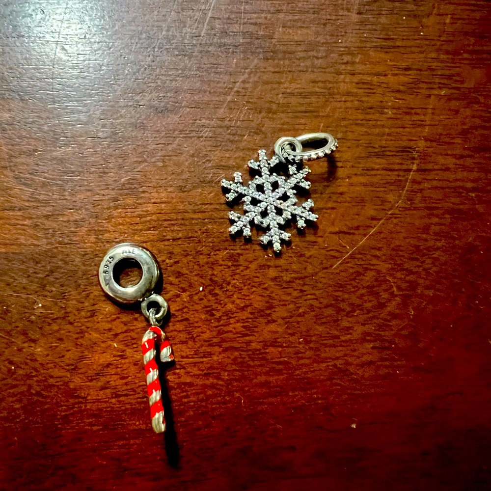 Pandora Charms